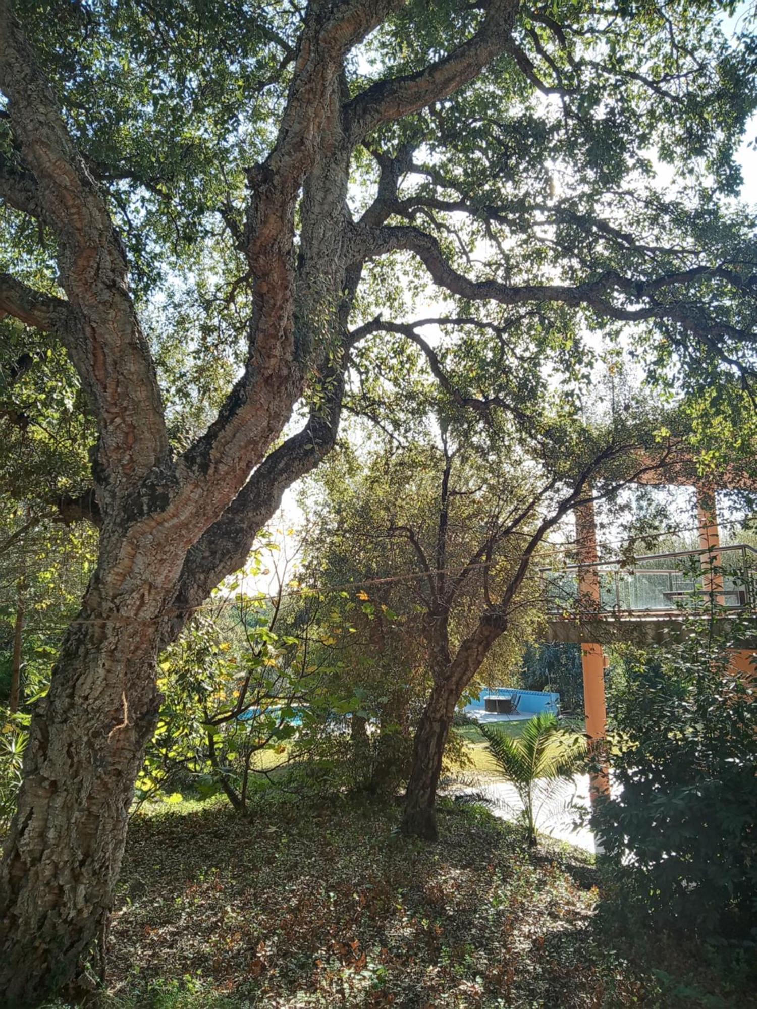 Sotogrande - Estancia En Plena Naturaleza - Abril Exterior photo